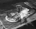 pm_0055.jpg(45.2K)