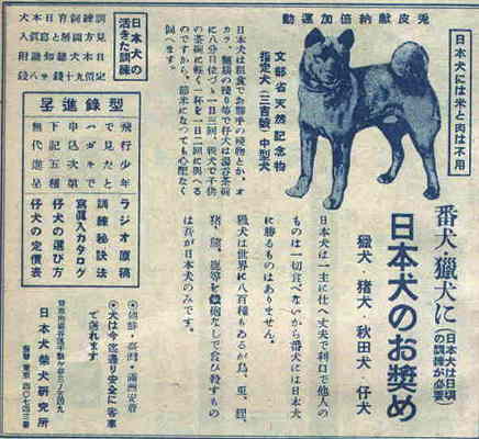 太陽'8１　臨時増刊 　特集決定版 犬歳年賀状図案1001集　希少昭和本 nihonken_02.jpg