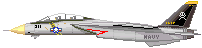 Northrop Grumman F-14・A 「Tomcat」