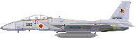 F-15DJ