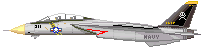 Northrop Grumman F-14･A ｢Tomcat｣